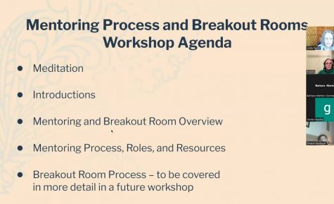 Mentoring and Breakout Rooms Workshop, 10th Feb 2023 Hosted by Linda